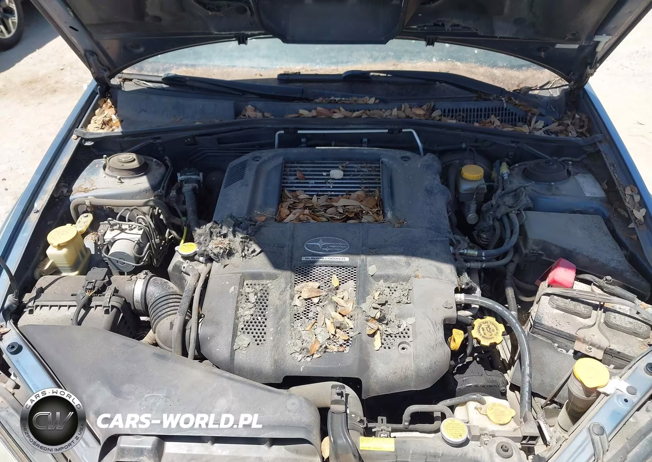 2006 Subaru Outback 2.5Xt-2.5Xt Limited VIN:4S4BP67C164301025 - 10