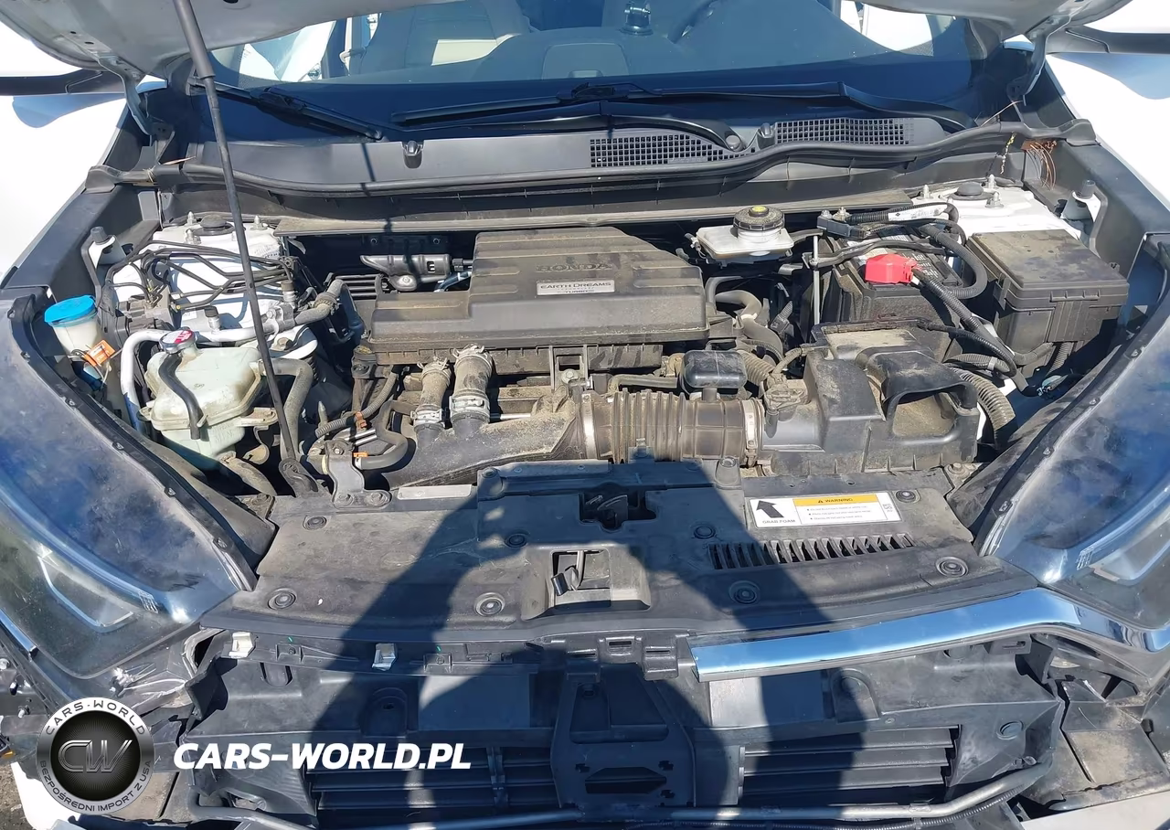 2019 Honda Cr-V Ex VIN:JHLRW2H52KX013850 - 10
