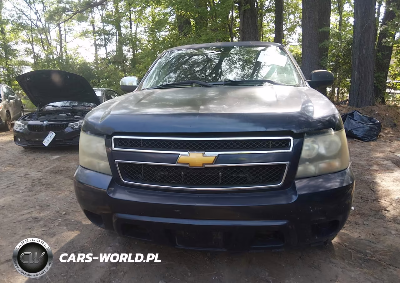 2010 Chevrolet Tahoe Ls VIN:1GNMCAE08AR258164 - 12