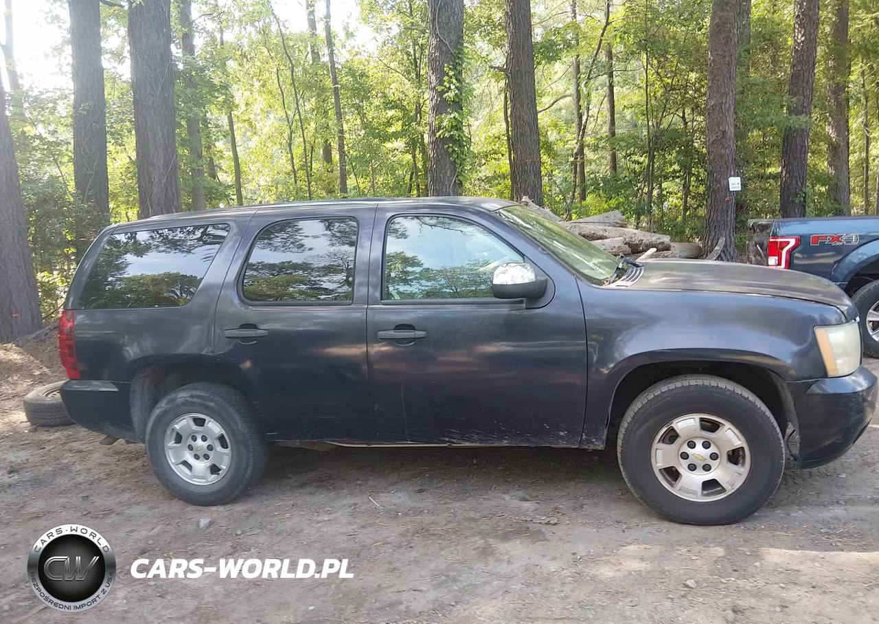 2010 Chevrolet Tahoe Ls VIN:1GNMCAE08AR258164 - 13