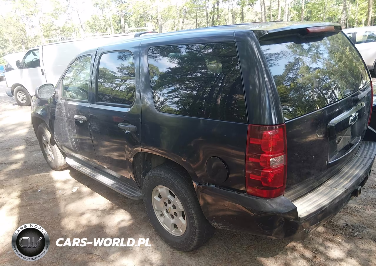 2010 Chevrolet Tahoe Ls VIN:1GNMCAE08AR258164 - 3