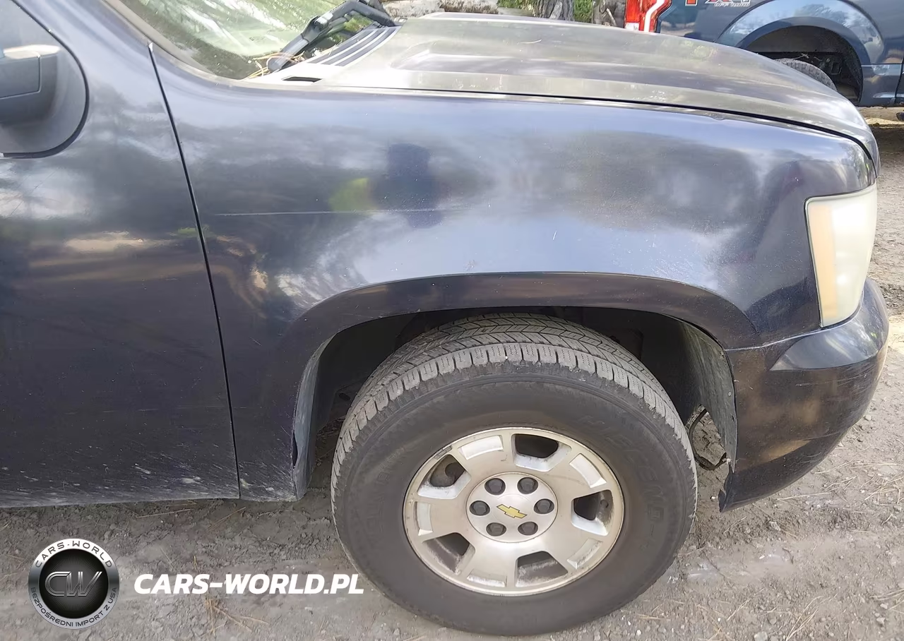 2010 Chevrolet Tahoe Ls VIN:1GNMCAE08AR258164 - 6