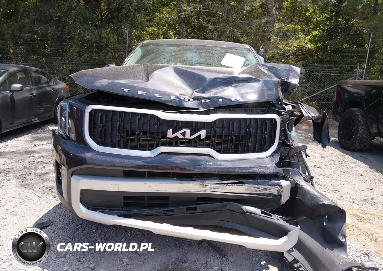 2025 Kia Telluride Lx VIN:5XYP24GC0SG638603 - 13
