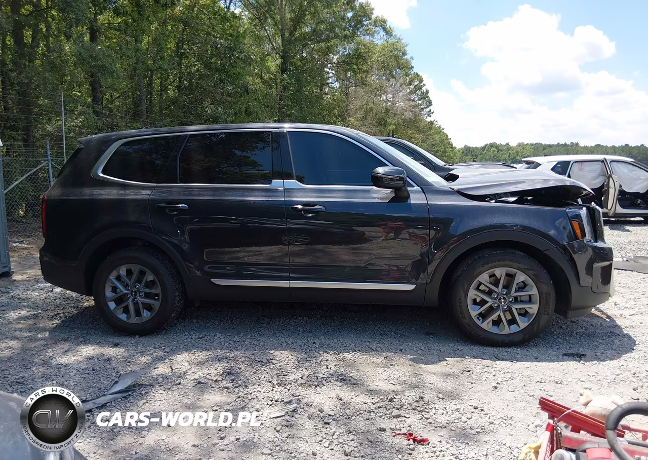 2025 Kia Telluride Lx VIN:5XYP24GC0SG638603 - 14