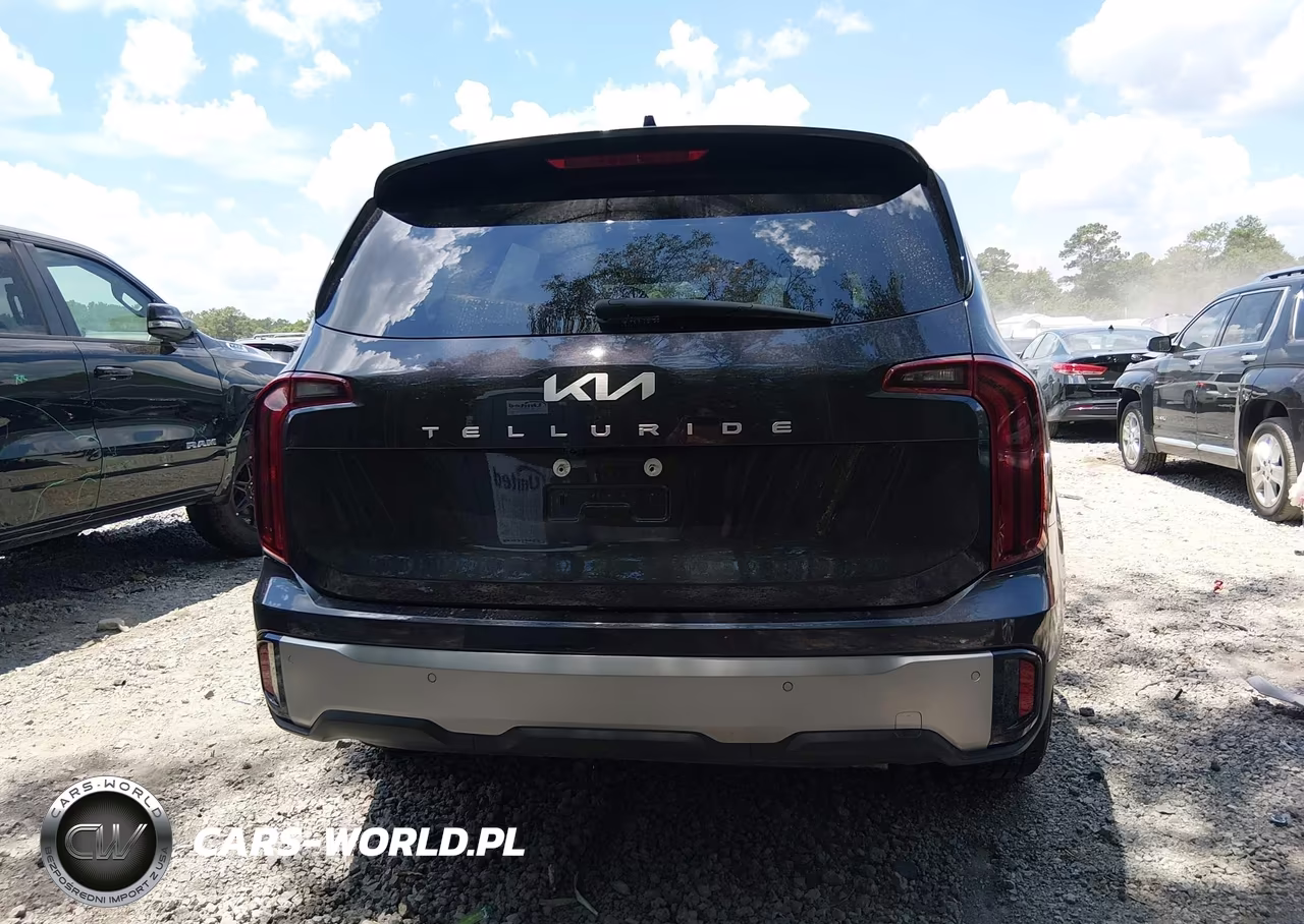 2025 Kia Telluride Lx VIN:5XYP24GC0SG638603 - 17