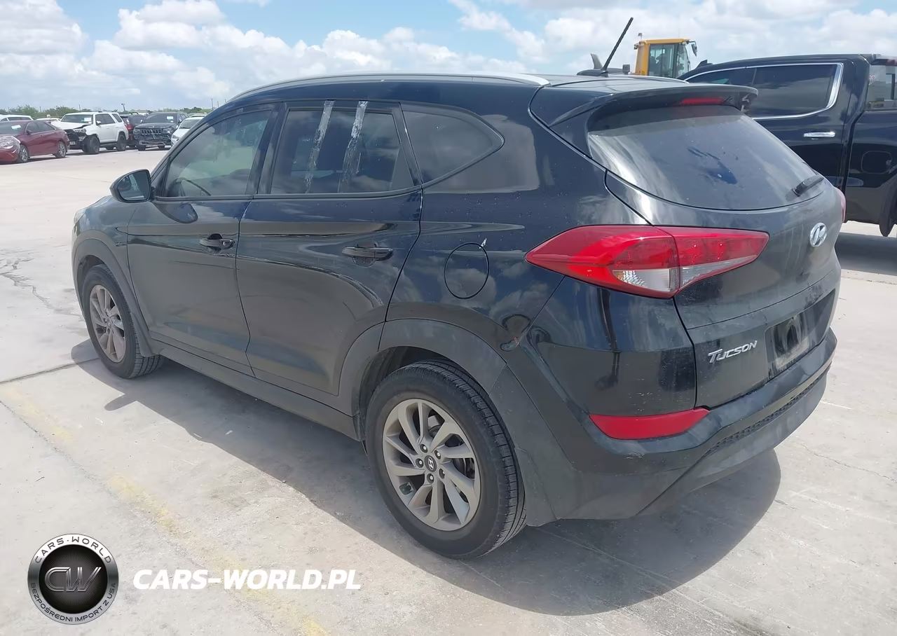 2016 Hyundai Tucson Se VIN:KM8J33A45GU113603 - 3