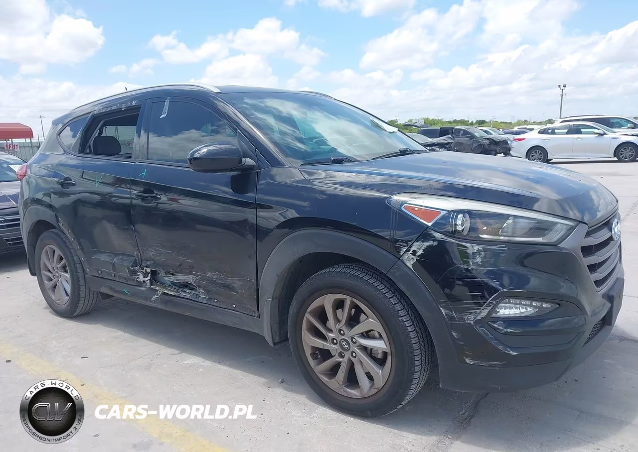 2016 Hyundai Tucson Se VIN:KM8J33A45GU113603 - 6