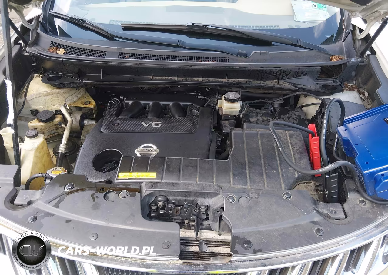 2009 Nissan Murano Le VIN:JN8AZ18W19W109588 - 10