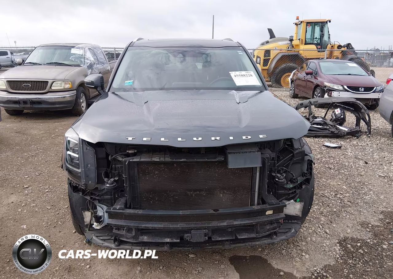 2020 Kia Telluride Sx VIN:5XYP54HC1LG033352 - 12