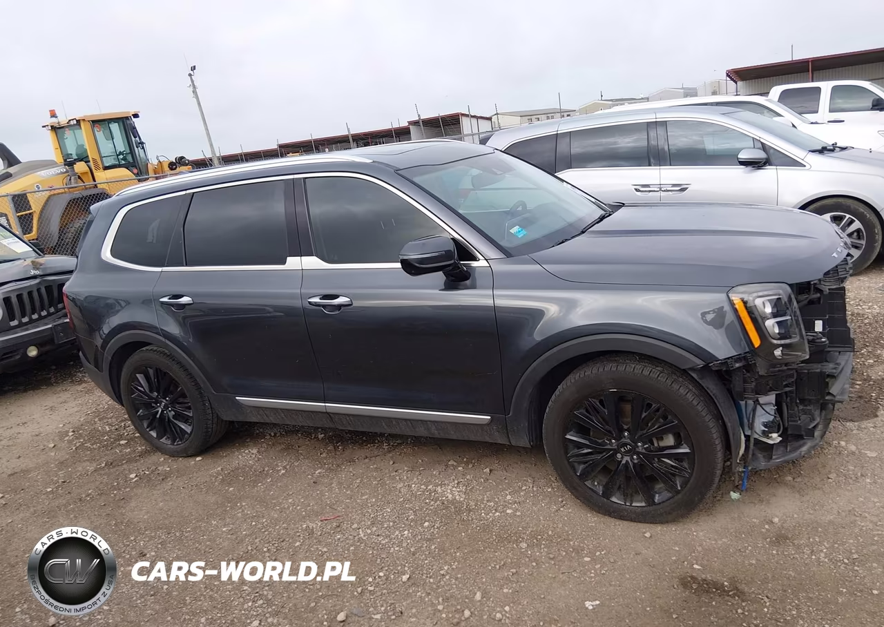 2020 Kia Telluride Sx VIN:5XYP54HC1LG033352 - 13