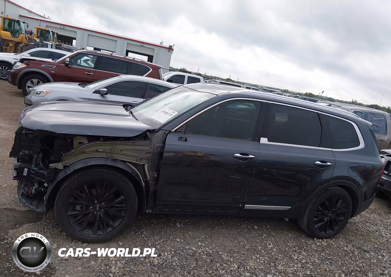 2020 Kia Telluride Sx VIN:5XYP54HC1LG033352 - 14