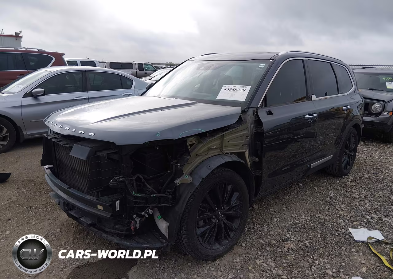 2020 Kia Telluride Sx VIN:5XYP54HC1LG033352 - 2
