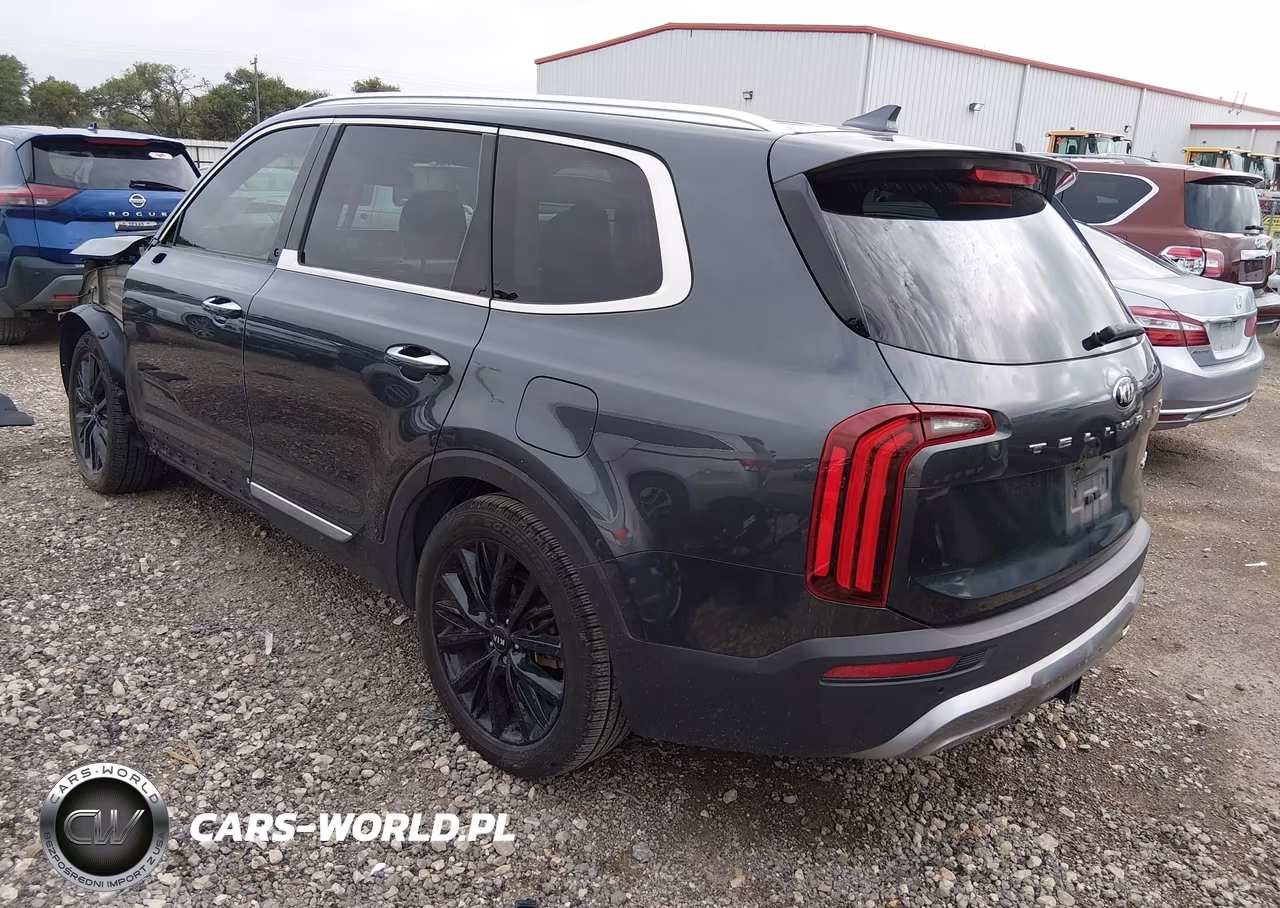 2020 Kia Telluride Sx VIN:5XYP54HC1LG033352 - 3