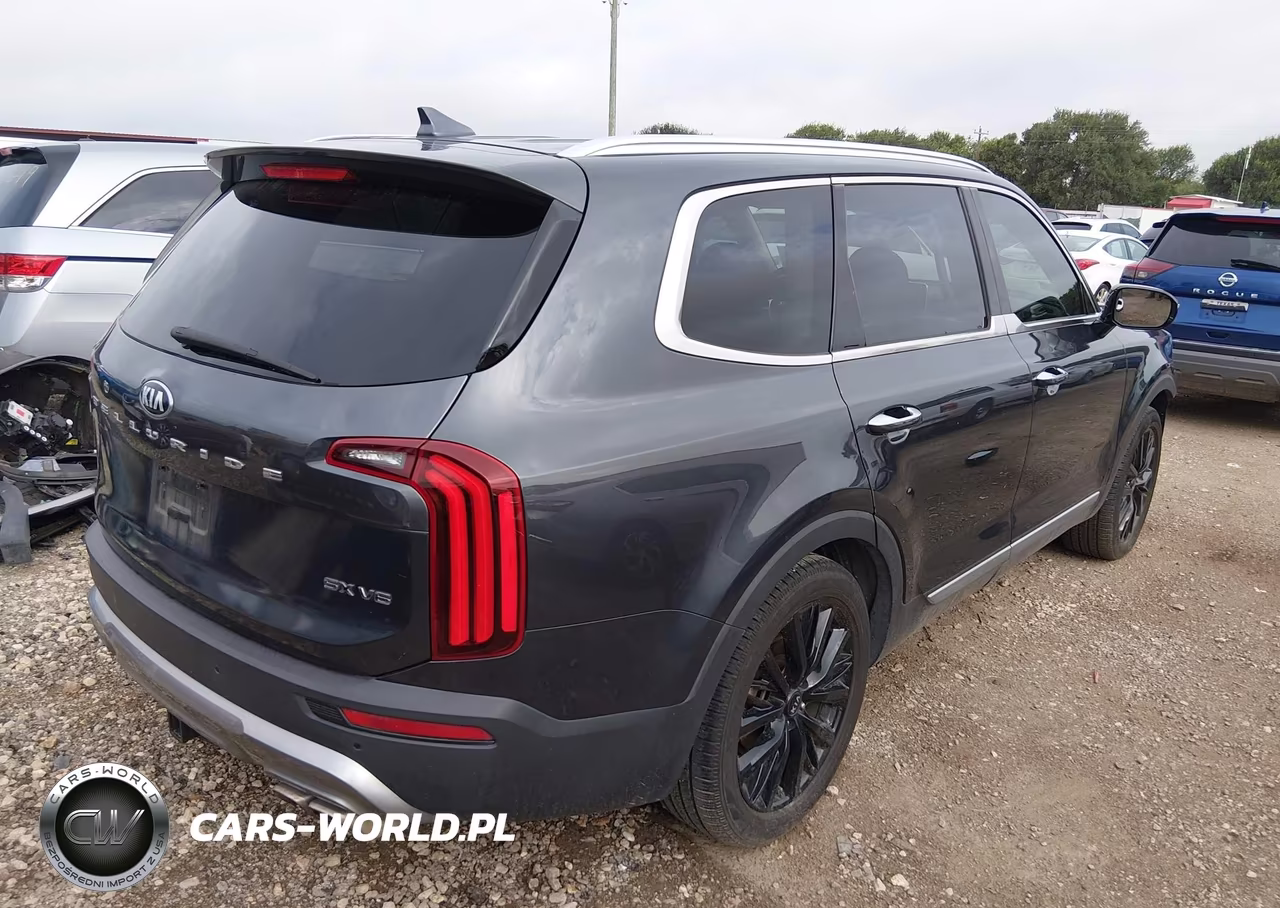 2020 Kia Telluride Sx VIN:5XYP54HC1LG033352 - 4