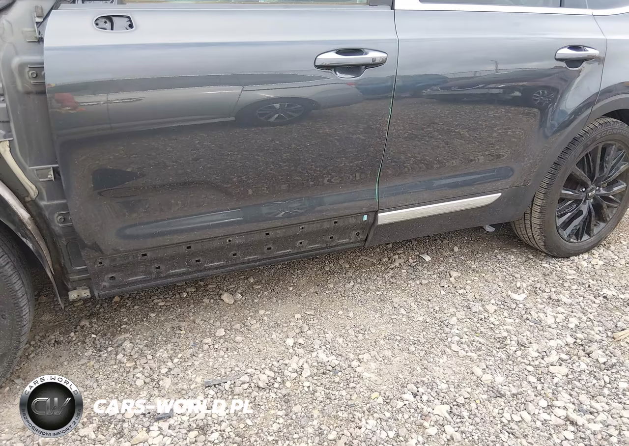 2020 Kia Telluride Sx VIN:5XYP54HC1LG033352 - 6