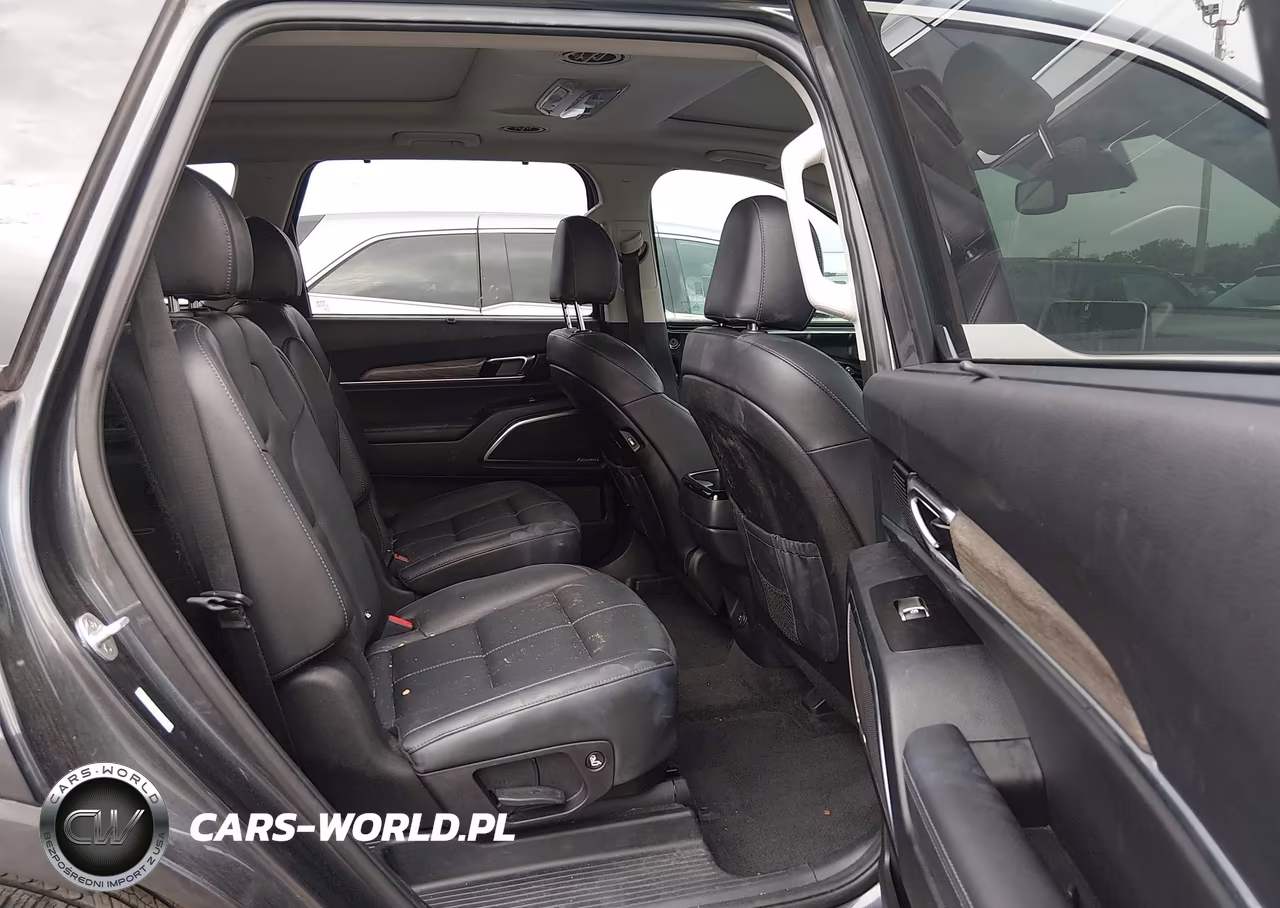 2020 Kia Telluride Sx VIN:5XYP54HC1LG033352 - 8