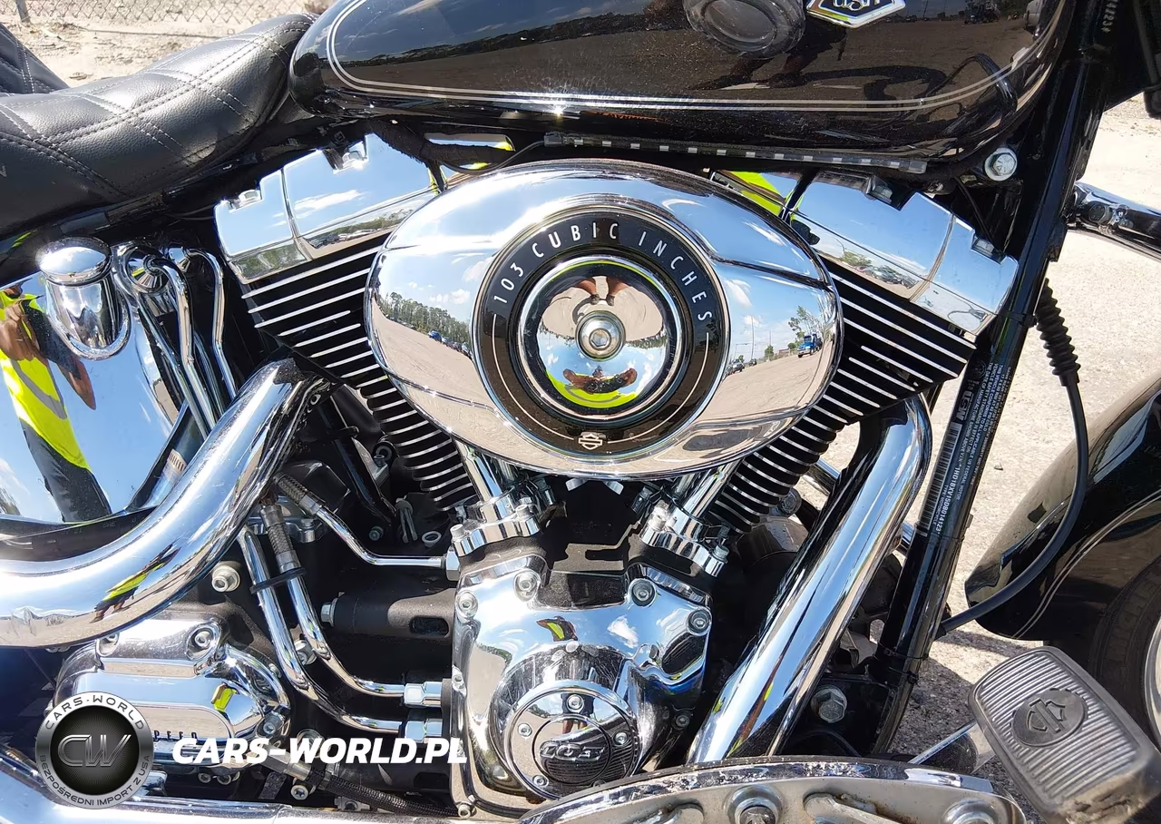 2013 Harley-Davidson Flstf Fatboy VIN:1HD1BXV15DB014123 - 8