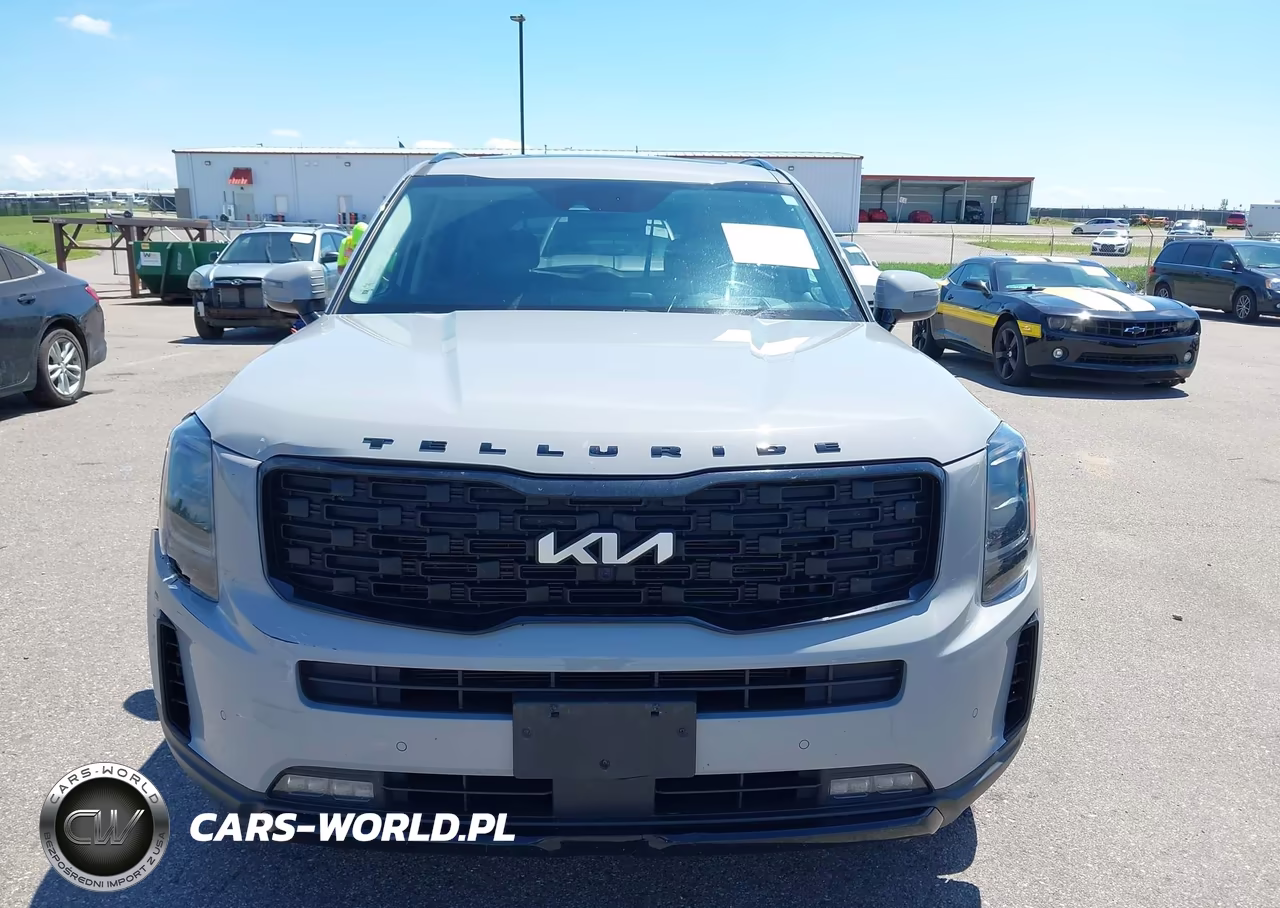 2022 Kia Telluride Sx VIN:5XYP5DHC5NG302634 - 13