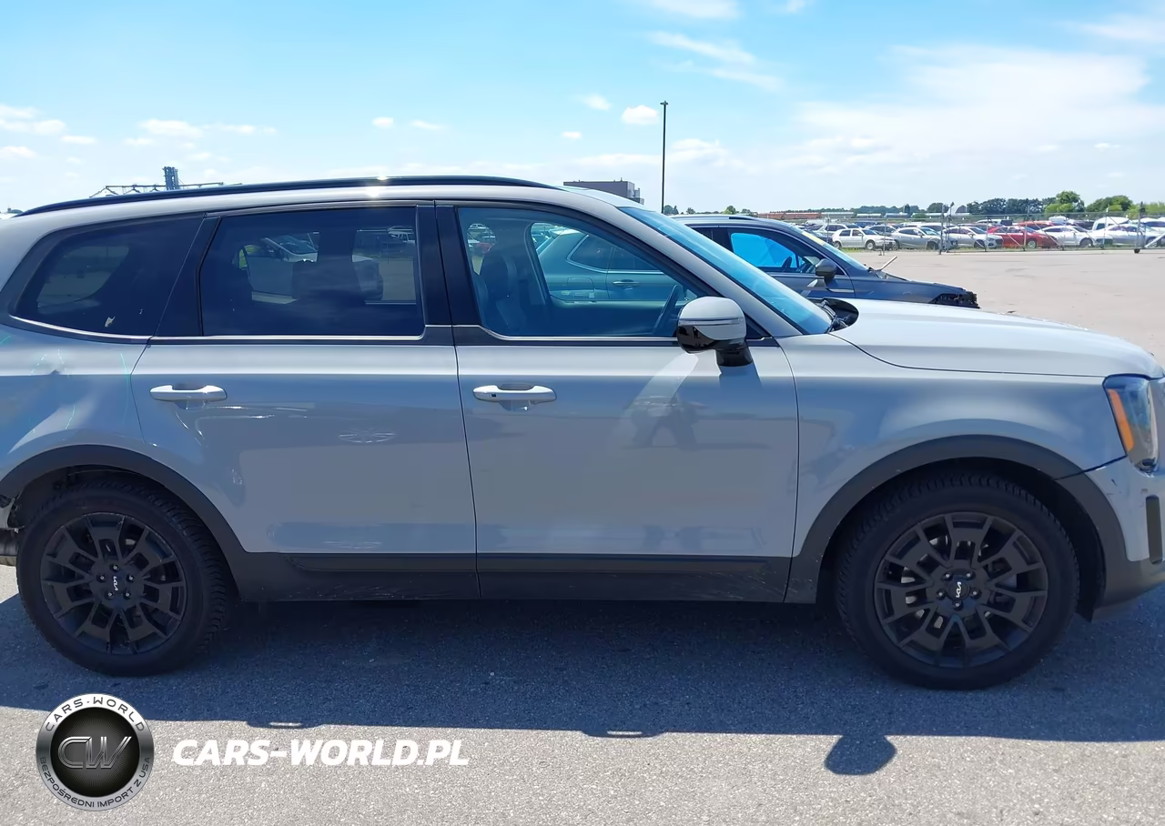2022 Kia Telluride Sx VIN:5XYP5DHC5NG302634 - 14