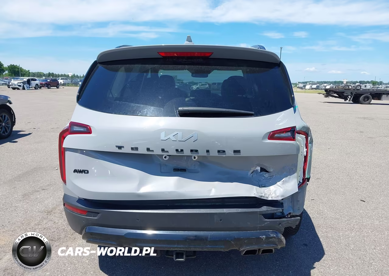 2022 Kia Telluride Sx VIN:5XYP5DHC5NG302634 - 17