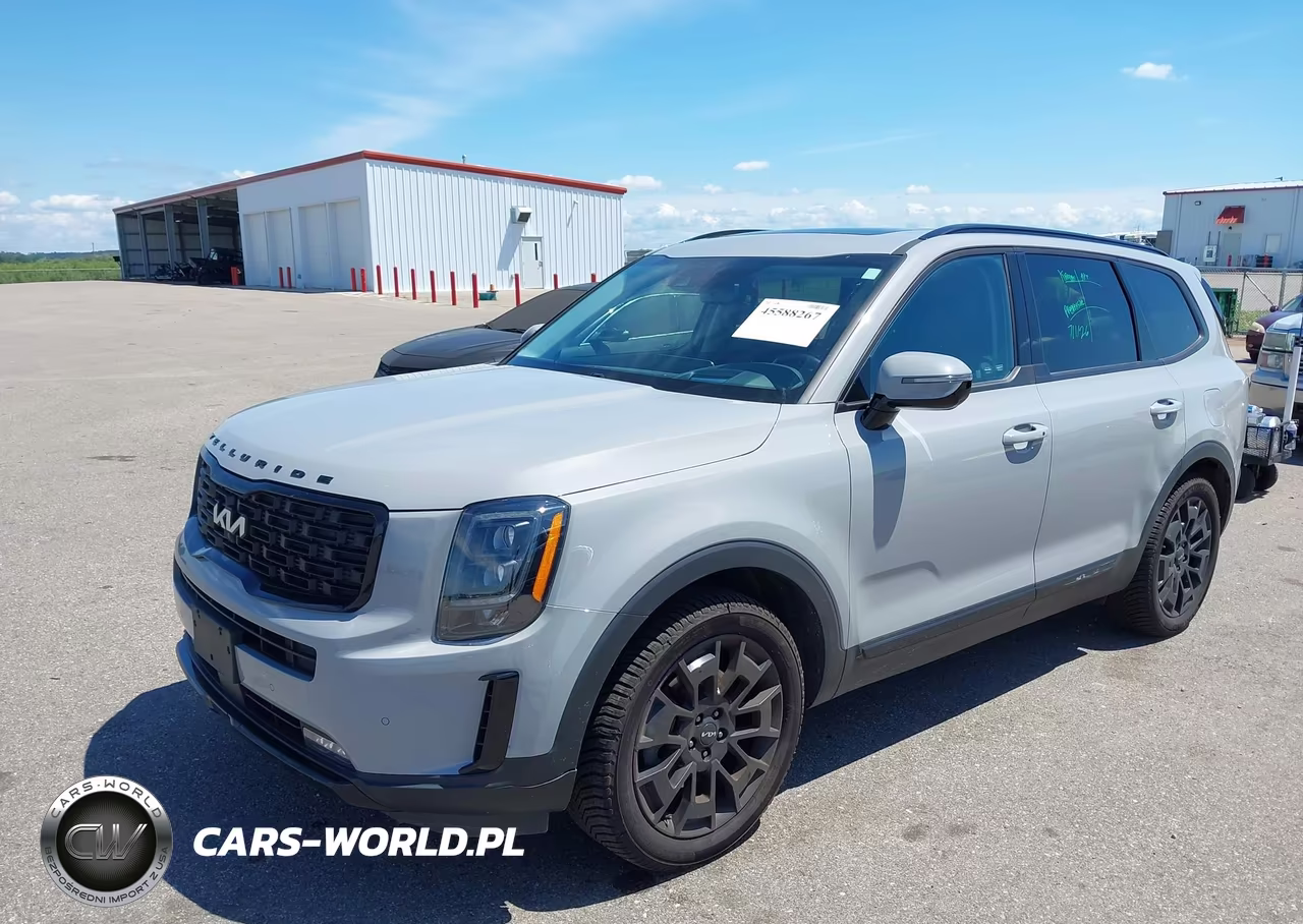 2022 Kia Telluride Sx VIN:5XYP5DHC5NG302634 - 2