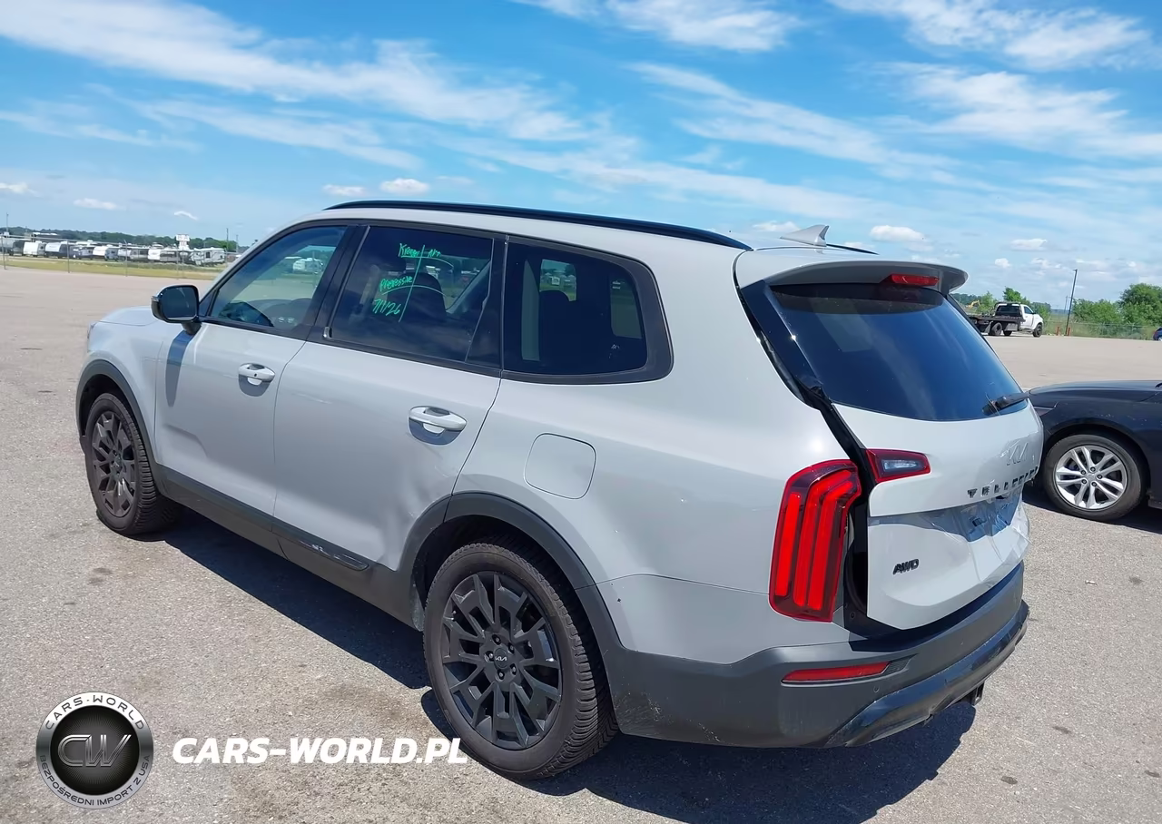 2022 Kia Telluride Sx VIN:5XYP5DHC5NG302634 - 3