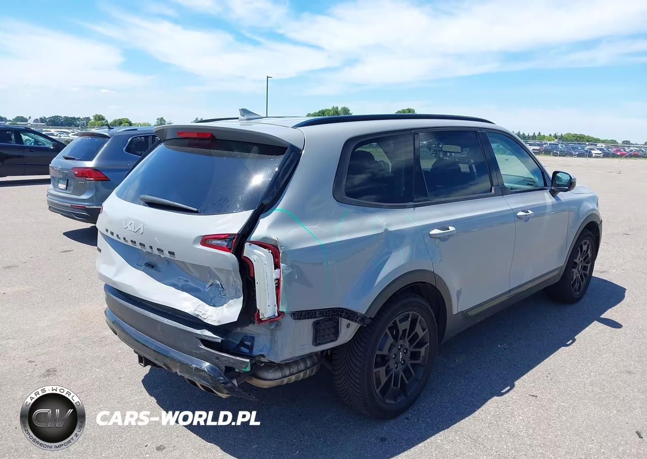 2022 Kia Telluride Sx VIN:5XYP5DHC5NG302634 - 4