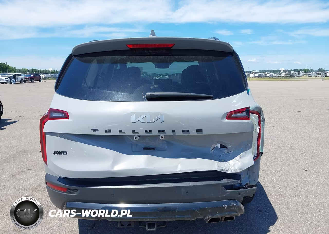 2022 Kia Telluride Sx VIN:5XYP5DHC5NG302634 - 6