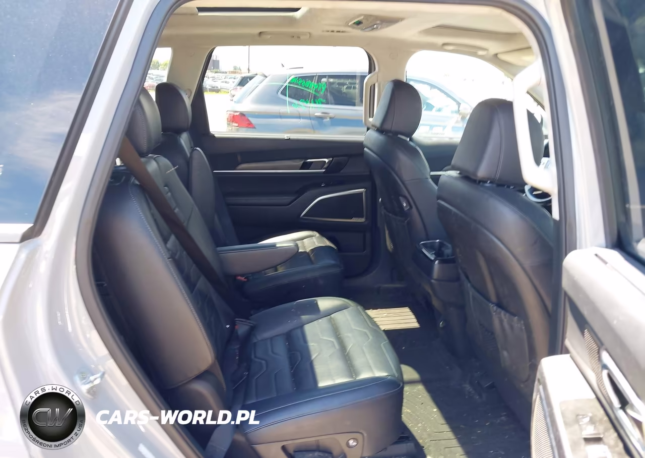 2022 Kia Telluride Sx VIN:5XYP5DHC5NG302634 - 8