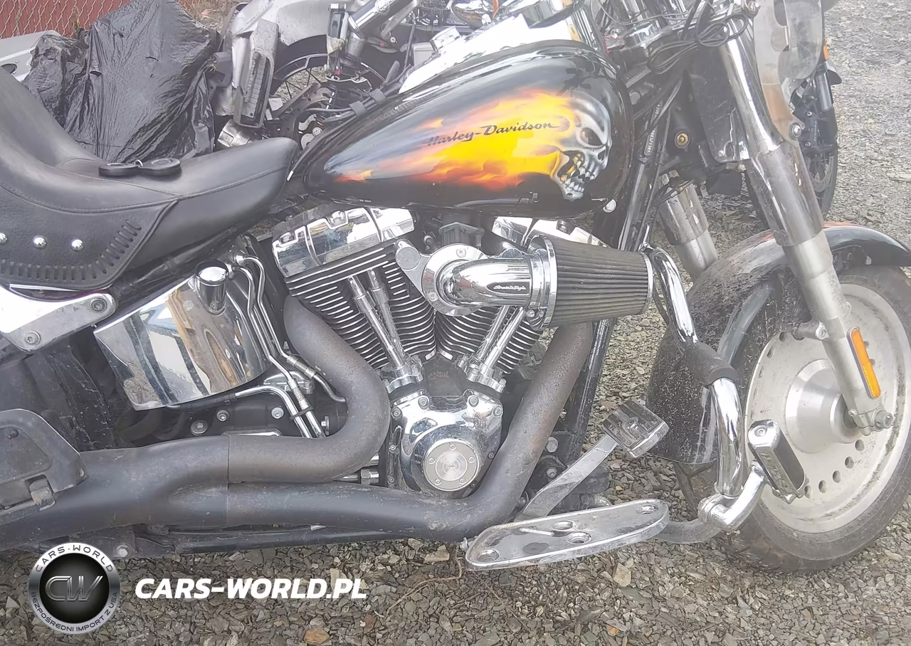 2011 Harley-Davidson Flstf VIN:1HD1BX515BB037530 - 8