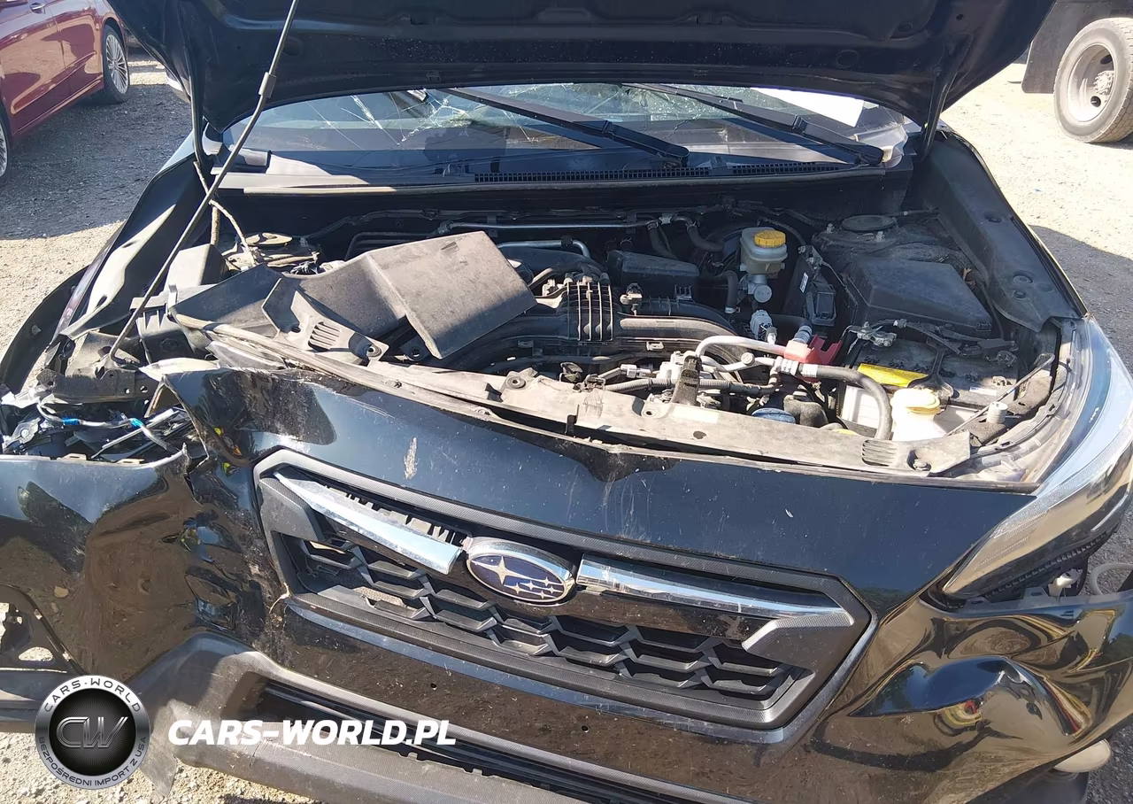 2019 Subaru Crosstrek 2.0I Limited VIN:JF2GTANC0K8305163 - 10