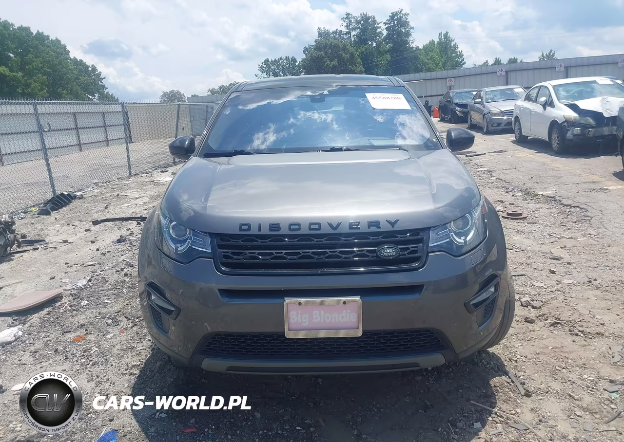 2019 Land Rover Discovery Sport Se VIN:SALCP2FX6KH824106 - 12