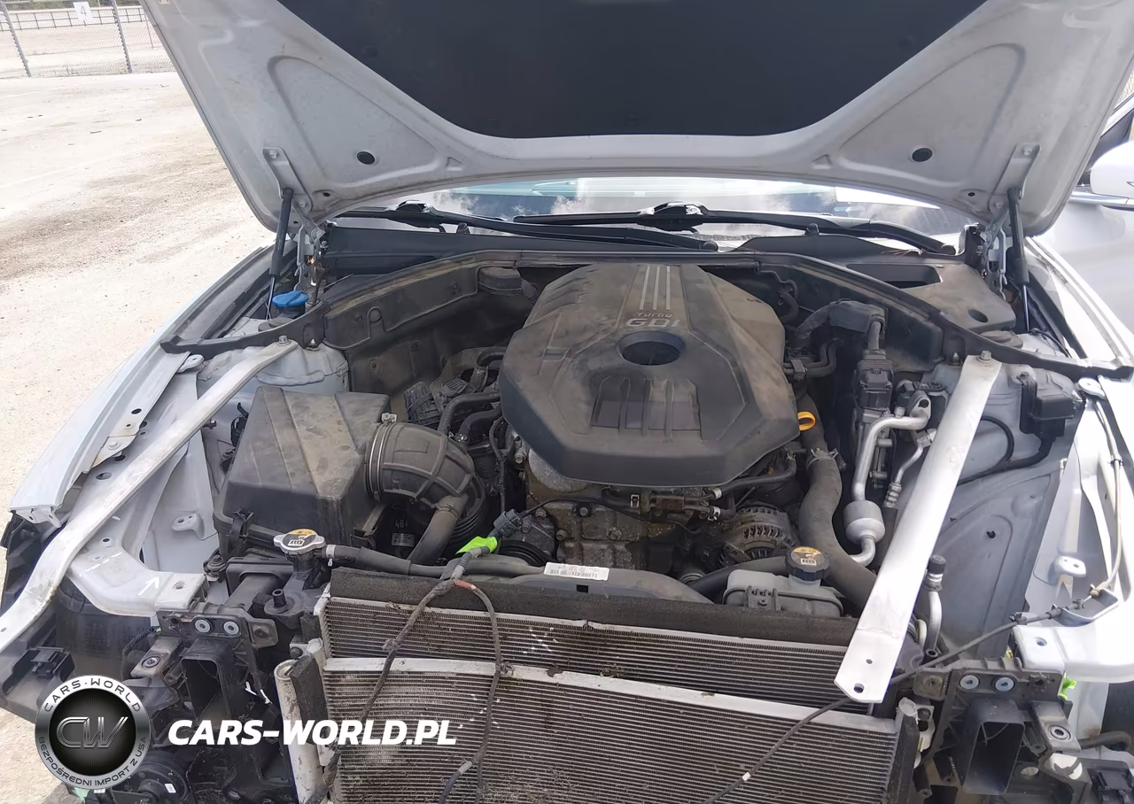 2019 Genesis G70 2.0T Advanced VIN:KMTG44LA7KU025912 - 10