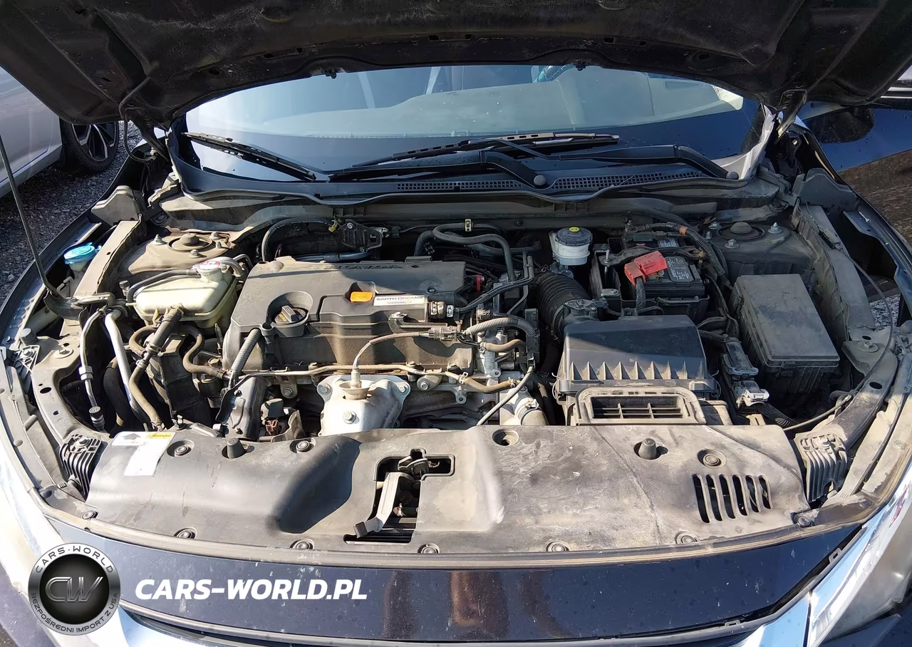 2017 Honda Civic Lx VIN:2HGFC2F52HH517230 - 10