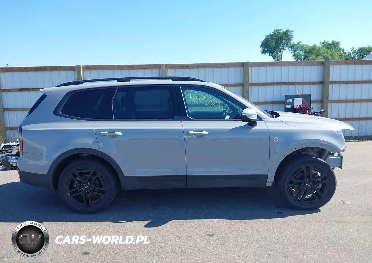 2024 Kia Telluride Sx X-Line VIN:5XYP5DGC0RG562415 - 14
