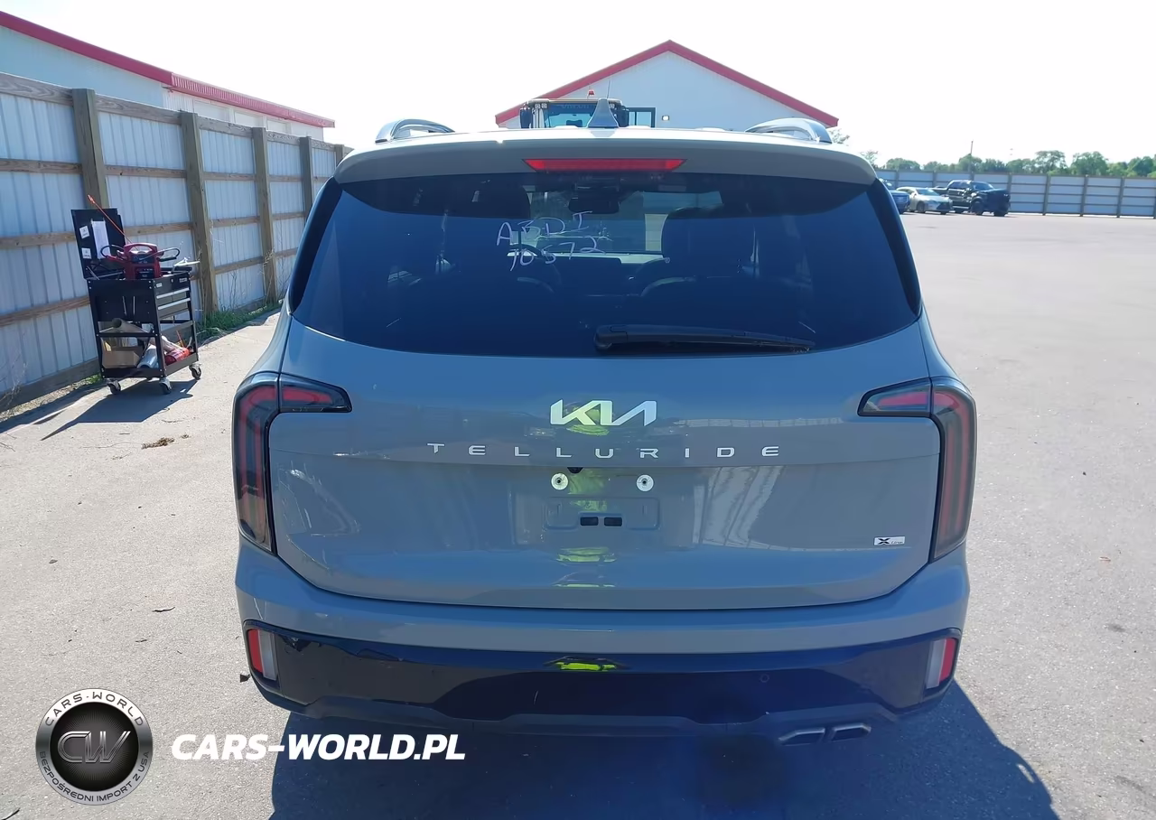 2024 Kia Telluride Sx X-Line VIN:5XYP5DGC0RG562415 - 17