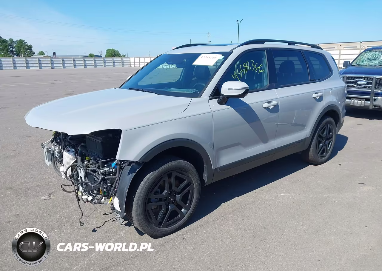 2024 Kia Telluride Sx X-Line VIN:5XYP5DGC0RG562415 - 2
