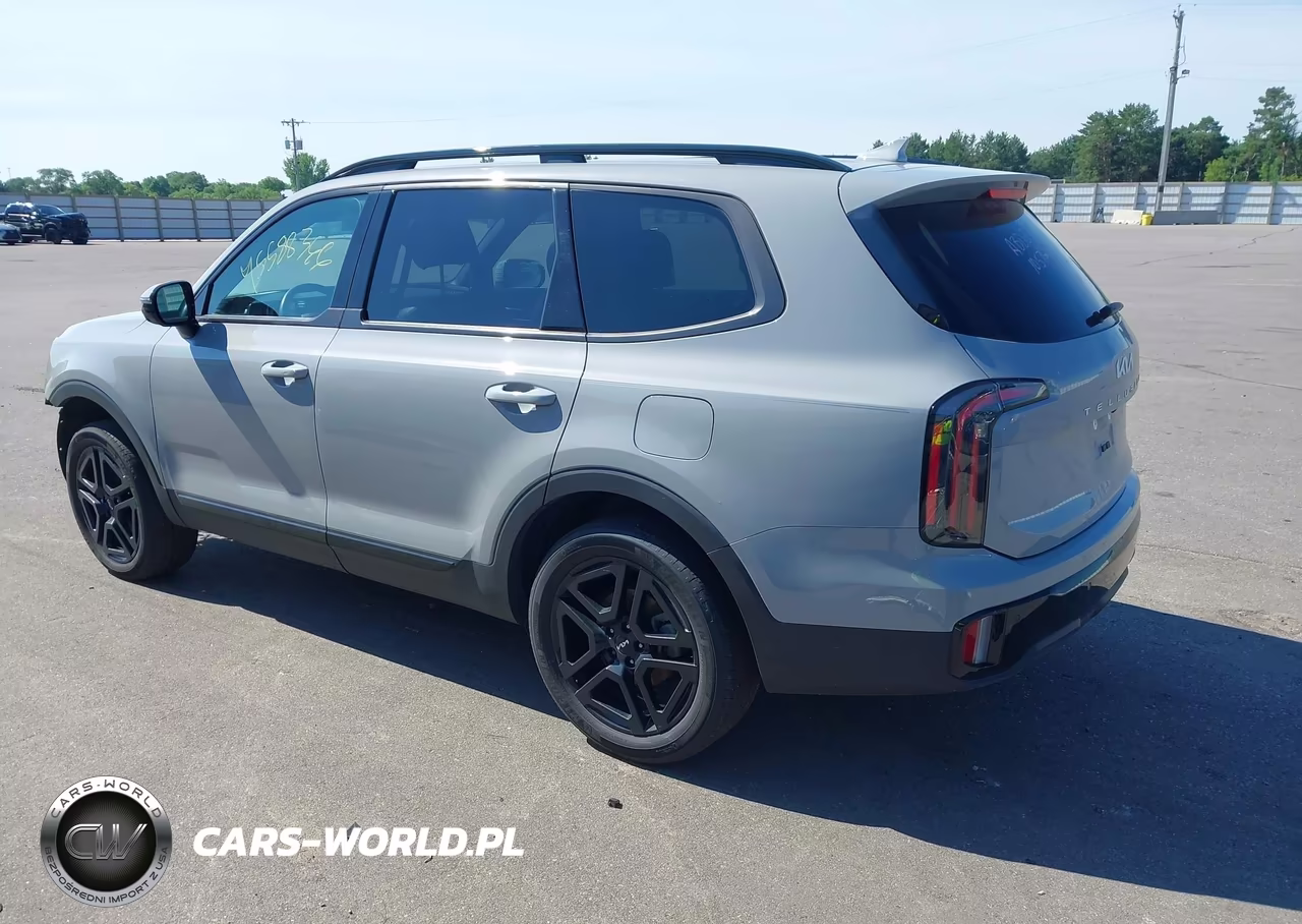 2024 Kia Telluride Sx X-Line VIN:5XYP5DGC0RG562415 - 3