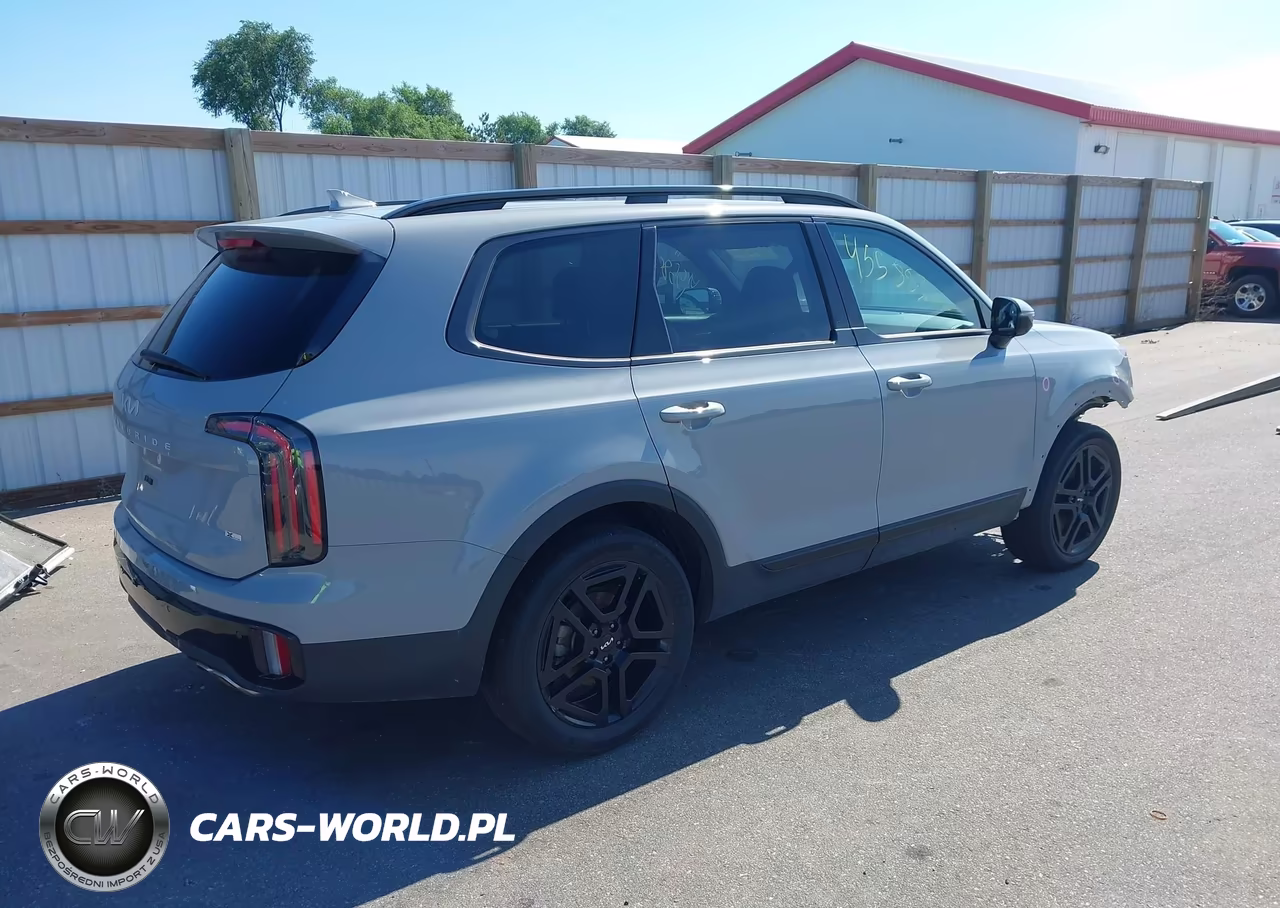 2024 Kia Telluride Sx X-Line VIN:5XYP5DGC0RG562415 - 4