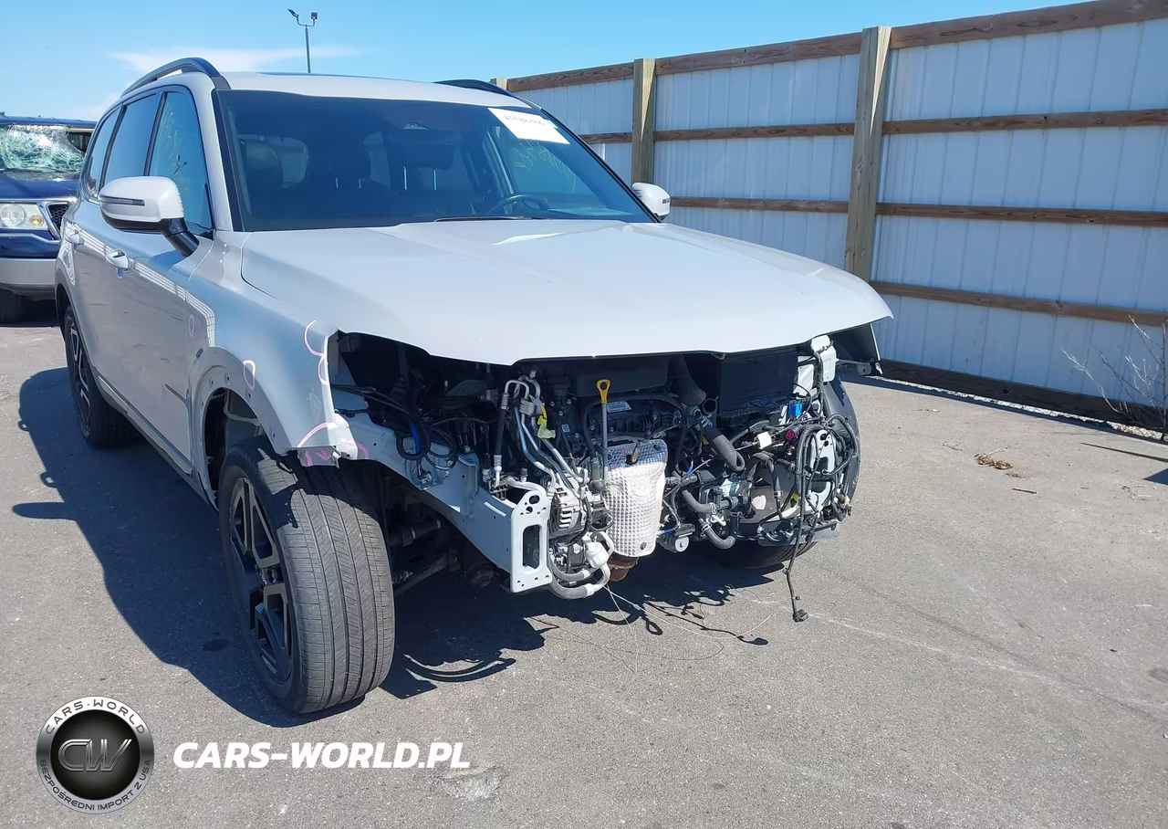 2024 Kia Telluride Sx X-Line VIN:5XYP5DGC0RG562415 - 6