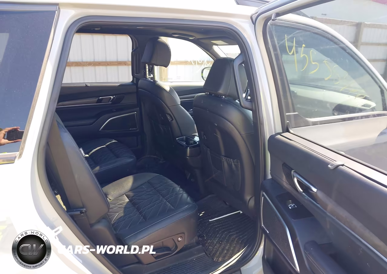 2024 Kia Telluride Sx X-Line VIN:5XYP5DGC0RG562415 - 8