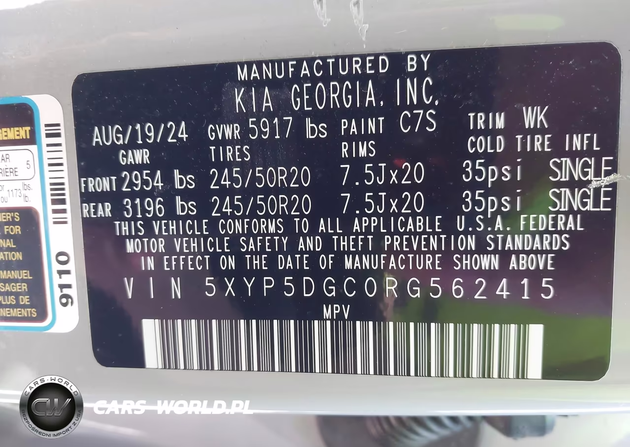 2024 Kia Telluride Sx X-Line VIN:5XYP5DGC0RG562415 - 9