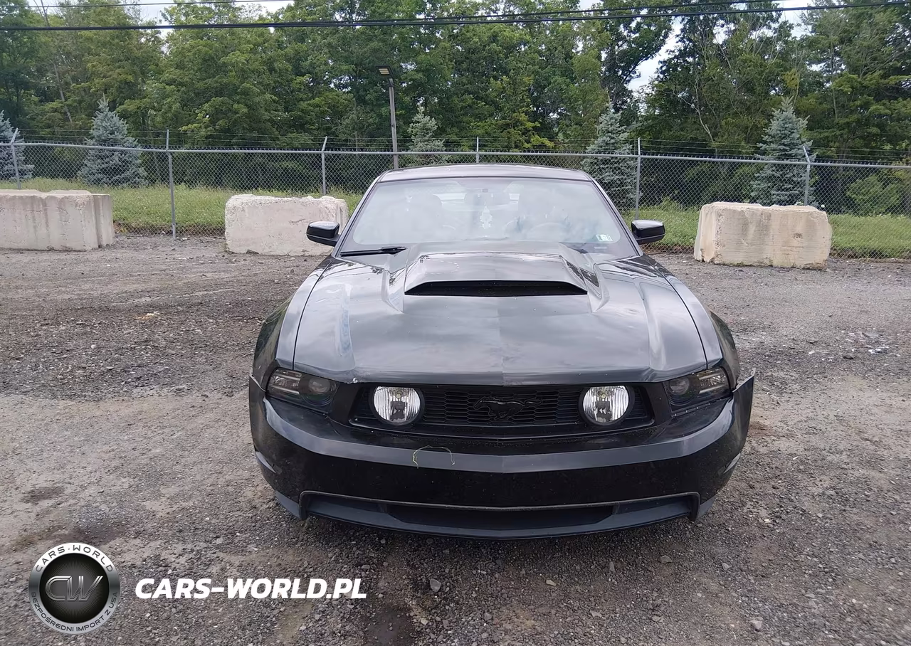 2010 Ford Mustang Gt-Gt Premium VIN:1ZVBP8CH7A5173178 - 12