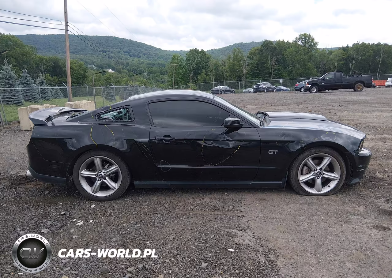 2010 Ford Mustang Gt-Gt Premium VIN:1ZVBP8CH7A5173178 - 13