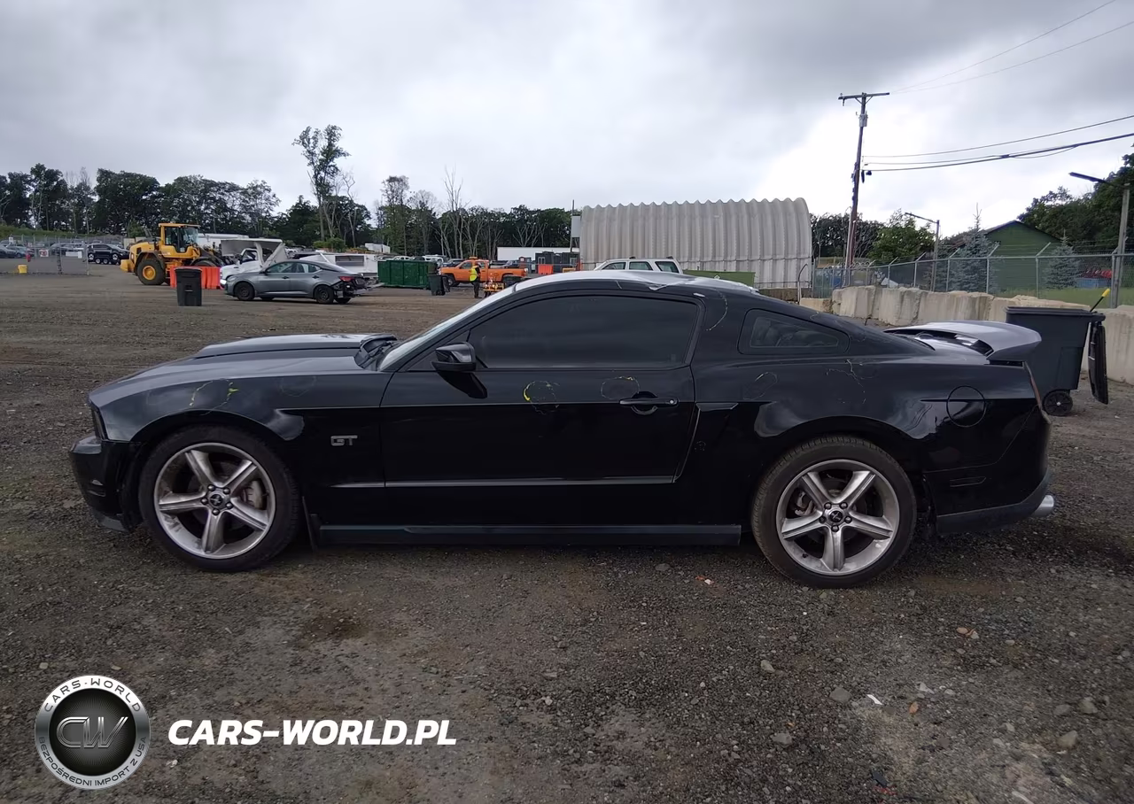 2010 Ford Mustang Gt-Gt Premium VIN:1ZVBP8CH7A5173178 - 14