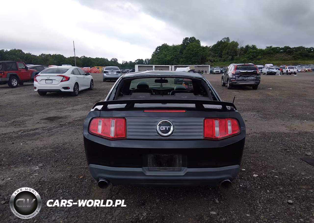 2010 Ford Mustang Gt-Gt Premium VIN:1ZVBP8CH7A5173178 - 16