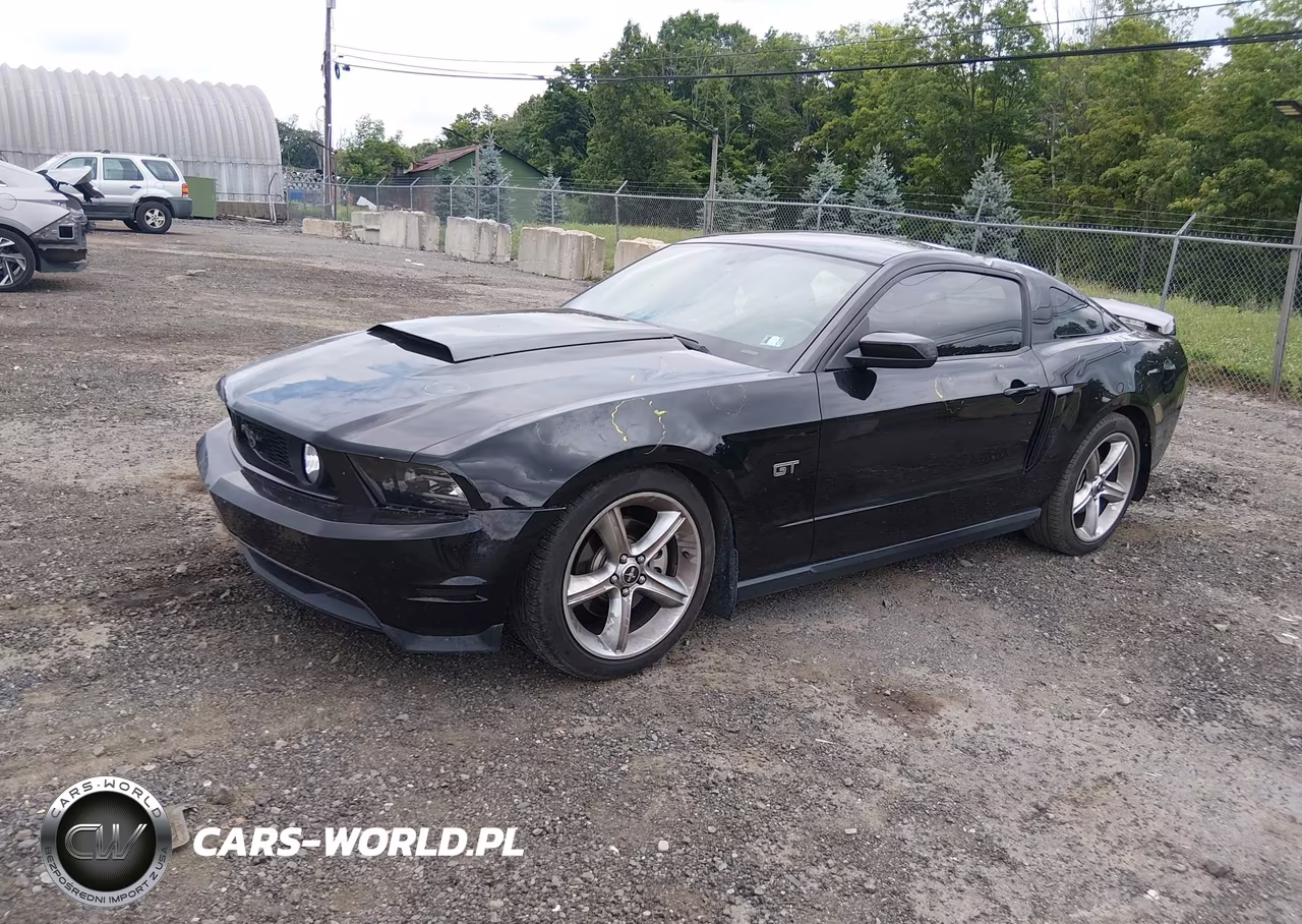 2010 Ford Mustang Gt-Gt Premium VIN:1ZVBP8CH7A5173178 - 2