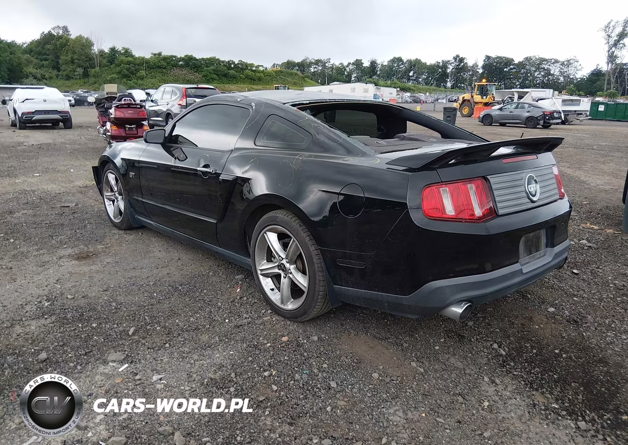 2010 Ford Mustang Gt-Gt Premium VIN:1ZVBP8CH7A5173178 - 3