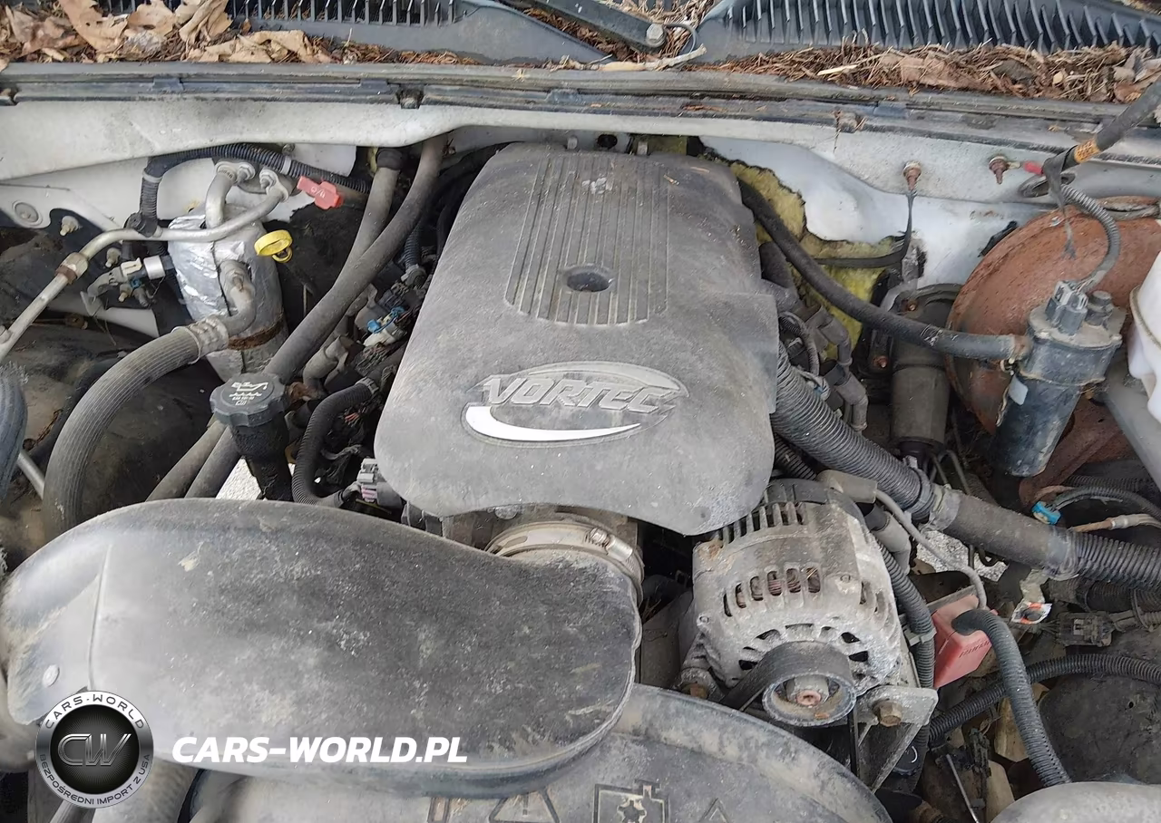 2003 Chevrolet Silverado 1500 Ls VIN:1GCEK19V03E341653 - 10