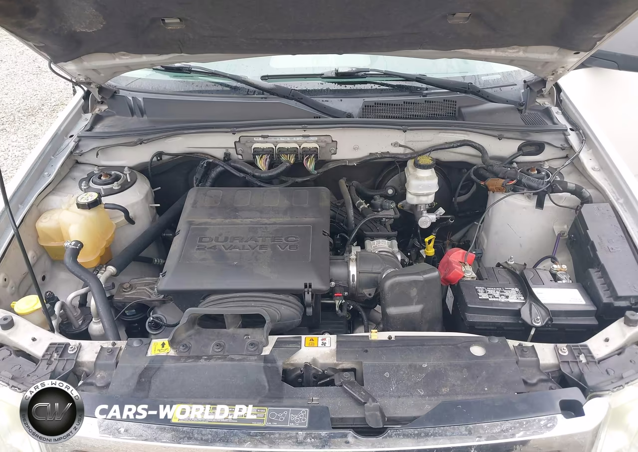 2010 Ford Escape Xlt VIN:1FMCU0DG9AKA01352 - 10
